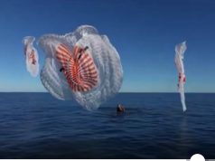 Kthehen astronautët që qëndruan 9 muaj në hapësirë