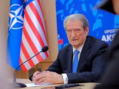 “Shqipëria madhështore”/Nga Meta, Mediu, Idrizi e Dule tek Selami Jenisheri e Kujtim Gjuzi, cilët janë 25 aleatët e Berishës