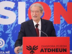 PD, protestë kundër mbylljes së Tik Tok