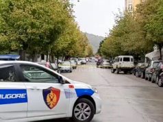 Plagosi me armë gjahu 53-vjeçarin, arrestohet i riu në Elbasan. Policia i sekuestron armë me silenciator