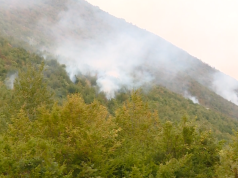 60 zjarre gjatë fundjavës në Maqedoninë e Veriut