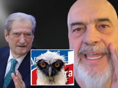 Berisha tha se Shqipëria s’plotëson kriteret për në BE, Rama reagon dhe e ironizon me bufin! Ja çfarë shkruan