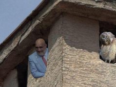 Irona e Ramës zgjerohet te Lacivita