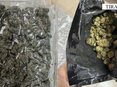 Drogë me postë nga SHBA në Tiranë e Elbasan/ Sekuestrohen 7.7 kg kanabis! 1 i arrestuar, 1 në kërkim .