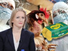 Gripi i shpendëve zbërthen aferën që mund të rrëzojë ministren Denaj! Grigels Muçollari shpërthen: ka shkelur ligjin, SPAK të veprojë tani