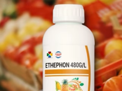 Etefoni, hormoni kancerogjen që shitet në Shqipëri me dijeninë e Ministrisë së Bujqësisë