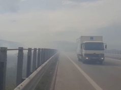 Vlorë/ Zjarr në zonën e Panajas, era e fortë vështirëson neutralizimin e flakëve