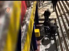 Merrte pako me marijuanë nga SHBA. Aksion policor për kapjen e të riut në Tiranë (Video)