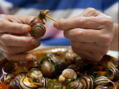 Tunizi, kërmijtë po zëvendësojnë mishin, sepse janë burim proteinash më i lirë