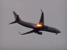 Lepuri futet në motorin e avionit – Fluturimi i United Airlines detyrohet të bëjë ulje urgjente