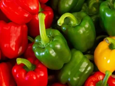 Skandali me specat shqiptarë në Kroaci: Ngarkesa me pesticide të rrezikshme, MZHBR në gjumë!