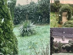 (Video) Dimër në pranverë, bora zbardh disa komuna të Kosovës