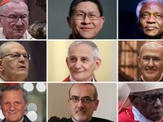 Kush do ta zëvendësojë Papa Françeskun? Mes kandidatëve, një aziatik dhe dy priftërinj me ngjyrë