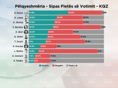 Lapaj dhe Shehaj ndajnë Berishën nga Rama