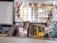 Kishte fshehur 177 steka me cigare kontrabandë në furgon, arrestohet 28-vjeçari në Portin e Durrësit