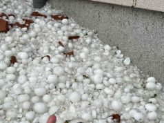 Moti i keq godet Serbinë: pemë të shkulura, çati të rrënuara dhe breshër sa topi i pingpongut