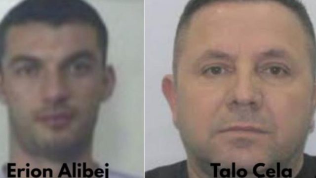 1748526204_talocela