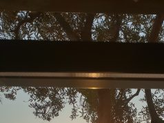 Rreziku i ‘Golemizimit’ në të gjithë bregdetin shqiptar