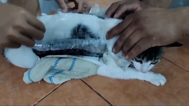GrUxrHqWAAAj5fi (1)