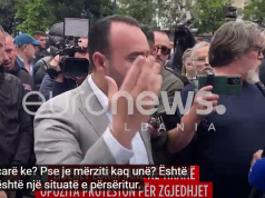 Incident i paprecedentë në protestën e PD: Gazetarja e Euronews Albania sulmohet dhe pengohet në kryerjen e detyrës