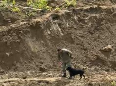 (Video) Kërkimet në Klos. Nga ushtria, FSK e deri te mbi 500 vullnetarë në kërkim të Ardit Beshirit