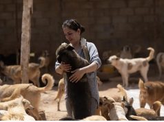 Dashamirësja e kafshëve ofron strehim për mijëra kafshë në Damask