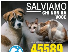 Dënime të ashpra për keqtrajtimin e kafshëve në Europë: Italia parashikon deri në 4 vite burg