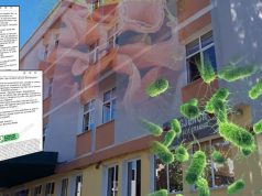 Shpërthimi i salmonelës në një kopsht në Gramsh – 17 fëmijë të infektuar, priten rezultatet për të tjerë