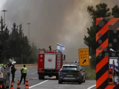 Mijëra hektarë të shkrumbuar nga zjarret e fuqishme, Izraeli shpall gjendjen e emergjencës