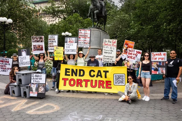 protest-photo