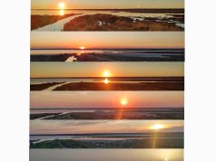 Dita më e gjatë e vitit. Në Divjakë dokumentohet rrugëtimi 5-vjeçar i diellit në Solsticin Veror