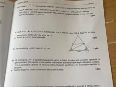 Skandal kronik/ Del teza e Matematikës!