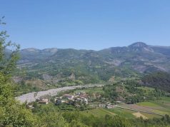 Murtaja te bagëtitë zbret në Zallbastar – Rritet numri i fermave të prekura, thirrje për alarm nga veterinerët