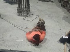 Irani në paranojë prej Mossad-it. Terror kundër popullatës, arrestime në masë me akuzat për spiunazh