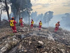 Elbasan/ Vihet nën kontroll zjarri në malin e Krastës, forcat në terren për izolimin përfundimtar