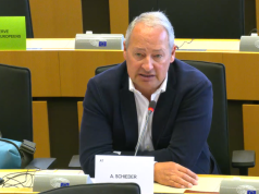 Deklarata e raportuesit për Shqipërinë. “Diaspora votoi masivisht. PE kërkon konsensus për reformën zgjedhore”