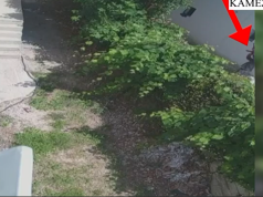 Qëllon me kallash në ajër për të kërcënuar vëllain që e akuzonte se i dhunoi vajzën. Ngjarja në Paskuqan (Pamje)