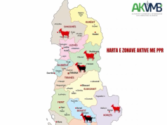 Murtaja pushton Shqipërinë/ Epidemiologu: Është nisur hetim për fermerët se ku i kanë blerë kafshët