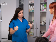 Kujdesi ndaj kafshëve shtëpiake gjatë verës: këshillat e mjekes veterinere, Eni Zemani