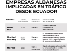 Mediat argjentinase nxjerrin emrat e kompanive shqiptare që kontrabandojnë drogë mes mishit dhe bananeve. Si operon mafia shqiptare për trafikun e kokainës nga Ekuadori drejt Europës
