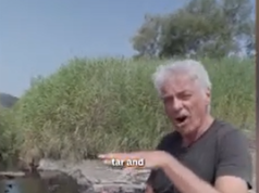 “Albpetrol” derdh mbetje hidrokarbure në Vjosë! Ambientalistët e huaj ngrenë alarmin: Kafshë të ngordhura dhe naftë që noton mbi ujë