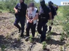 Goditet grupi kriminal i trafikut të armëve dhe lëndëve narkotike në Fier, 4 persona në pranga!