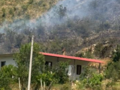Gjirokastër/ Banorja nën hetim për zjarrvënien që përfshiu 3 hektarë tokë në Palokastër