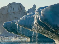 Rekord alarmant global: Maji 2025 më i nxehti ndonjëherë, Groenlanda po shkrihet 17 herë më shpejt