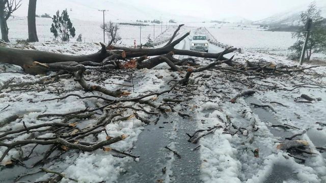 south_africa_flooding_AP_25161655496544_NAT_0611