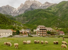 Shkodër/ Të shtëna me armë zjarri në Theth, Policia parandalon përshkallëzimin e konfliktit