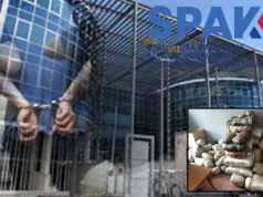 Zbardhen emrat e 9 të arrestuarve në Shqipëri – Operacioni i SPAK dhe policisë finlandeze çmonton grupin kriminal që shpërndante drogë në Helsinki