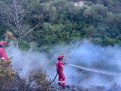 Zjarret në vend/ Reshjet e shiut neutralizojnë flakët në Parkun Kombëtar të Prespës! Edhe në Vlorë situata paraqitet e qetë
