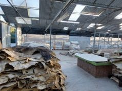 Goditet grupi kriminal në Greqi, importonin kokainë nga Amerika Latine përmes lëkurës së kafshëve! Në pranga dhe shqiptarë