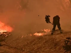 Pamje apokaliptike/ Greqia në luftë me zjarret, evakuohen banorët pranë Athinës